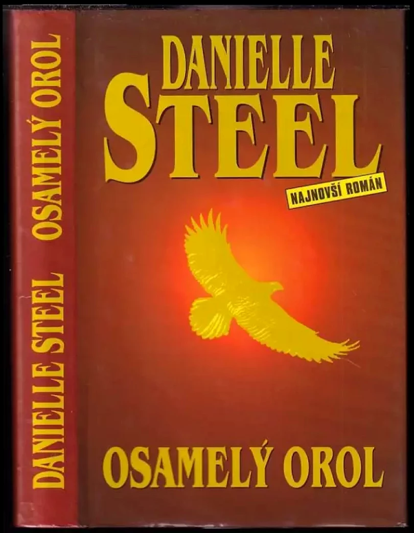 Levně Osamelý orol (Danielle Steel, 2001)