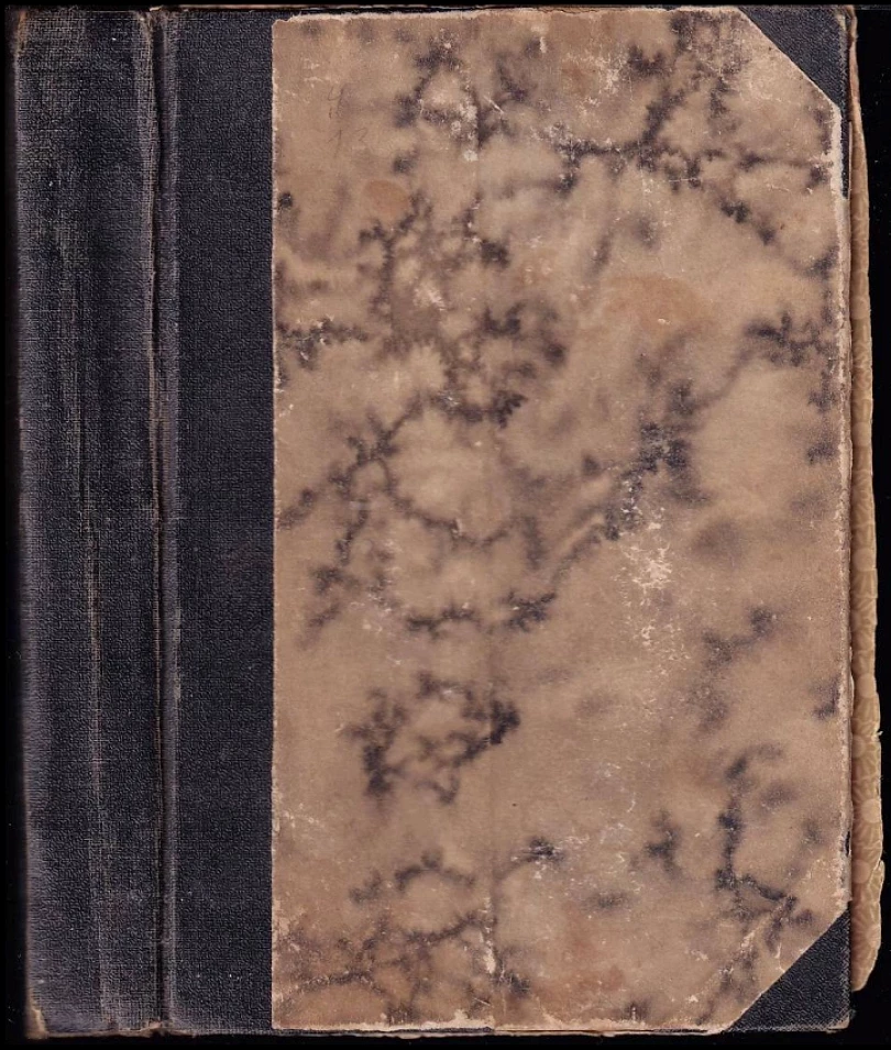 Levně Osiřelá (Maryša Šárecká-Radoňová, 1924)