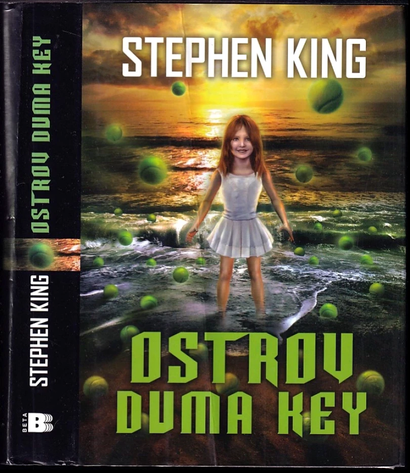 Ostrov Duma Key (Stephen King, 2008)