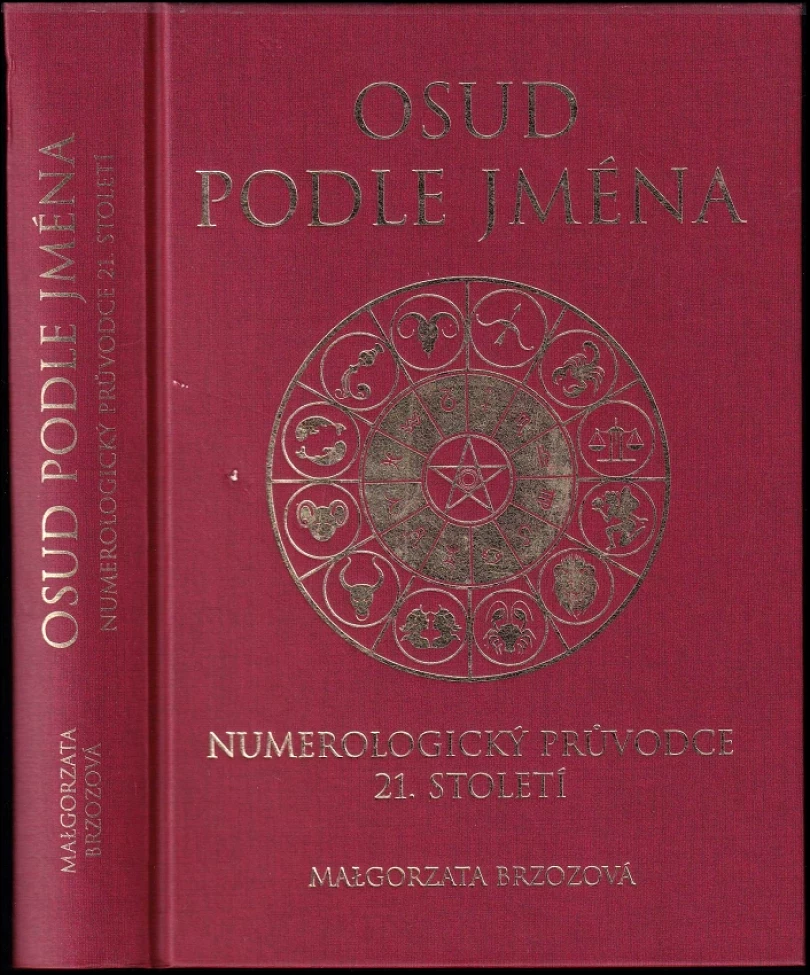 Osud podle jména (Małgorzata Brzoza, 2011)
