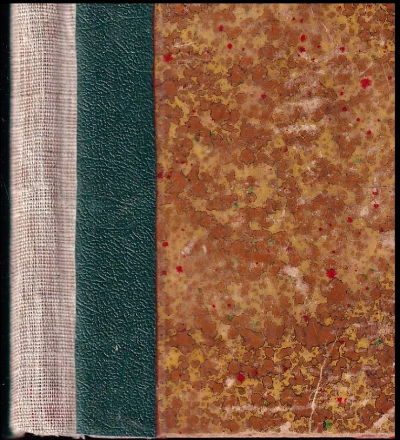 Levně Osudy legionářovy (Josef Hais Týnecký, 1919)