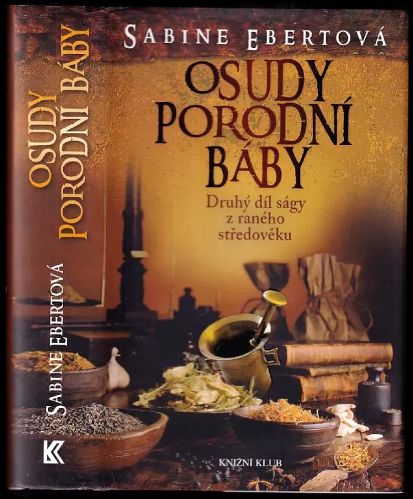 Levně Osudy porodní báby (Sabine Ebert, 2011)