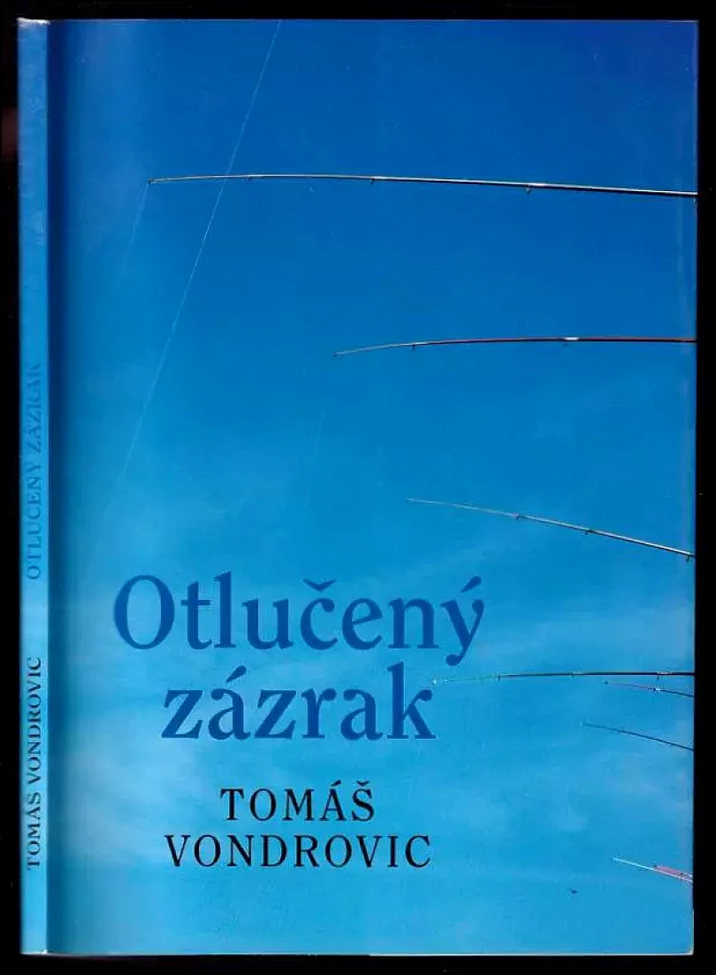 Levně Otlučený zázrak (Tomáš Vondrovic, 2010)