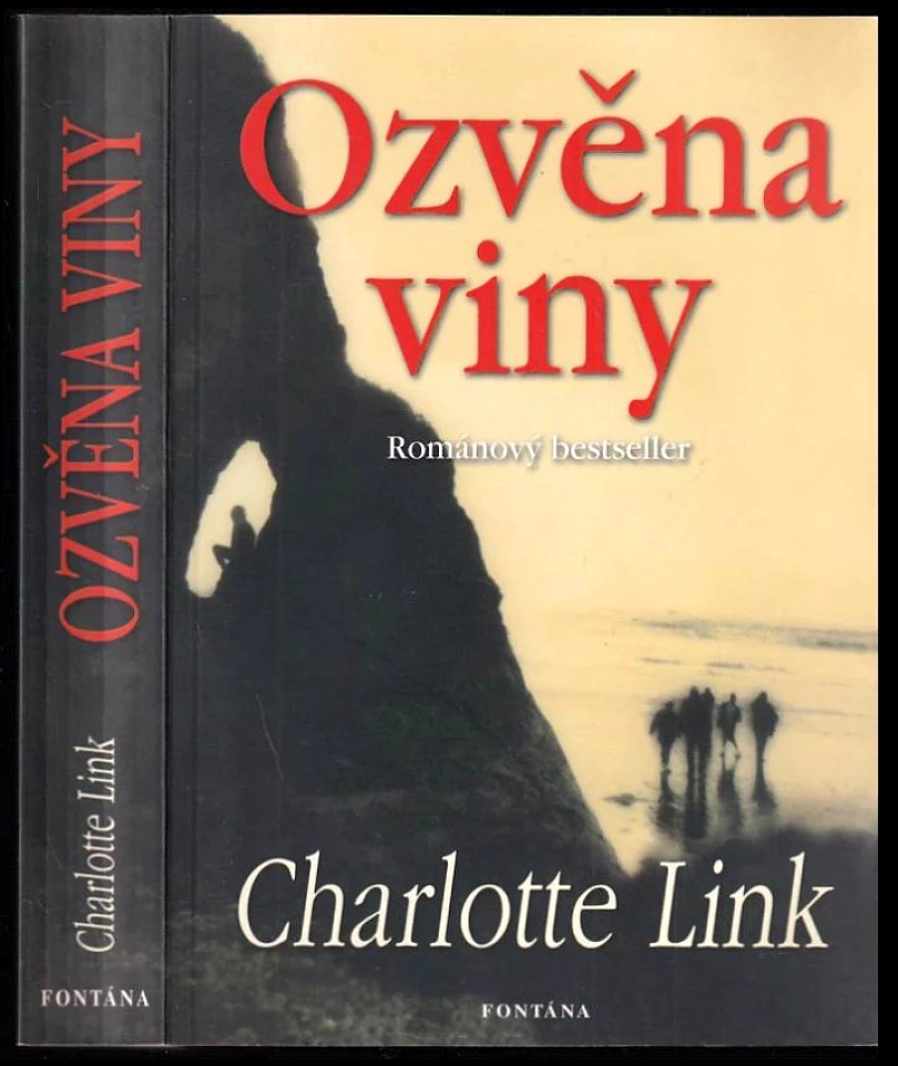 Levně Ozvěna viny (Charlotte Link, 2008)