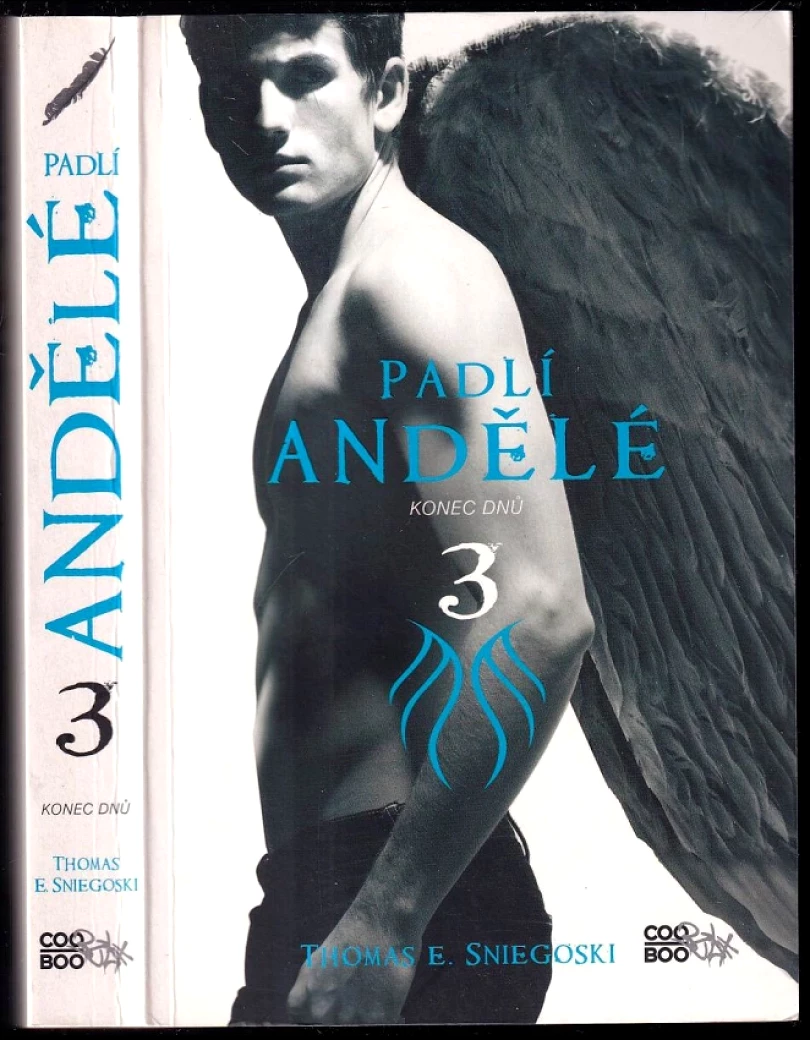 Padlí andělé (Tom Sniegoski, 2012)