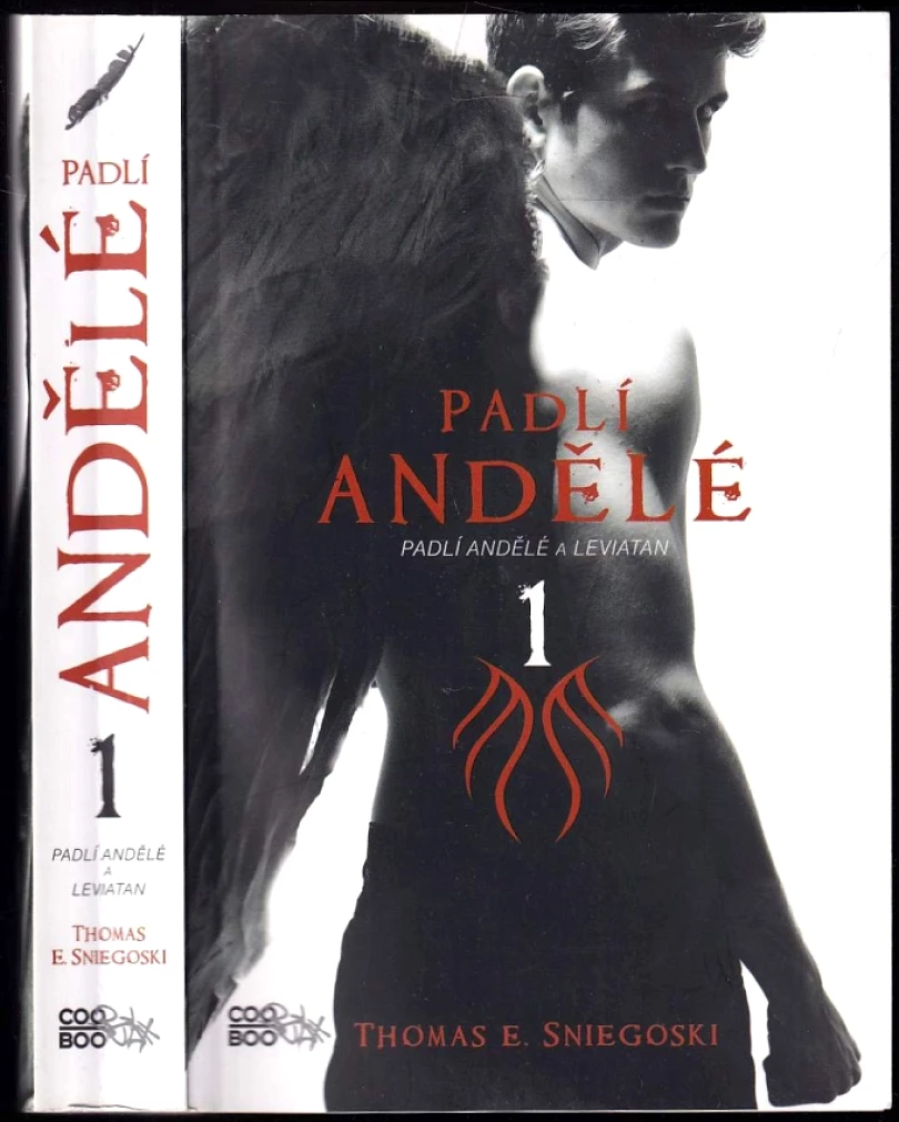 Padlí andělé (Tom Sniegoski, 2011)