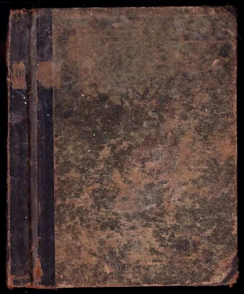 Levně Paní fabrikantova (Gustav Pfleger Moravský, 1883)