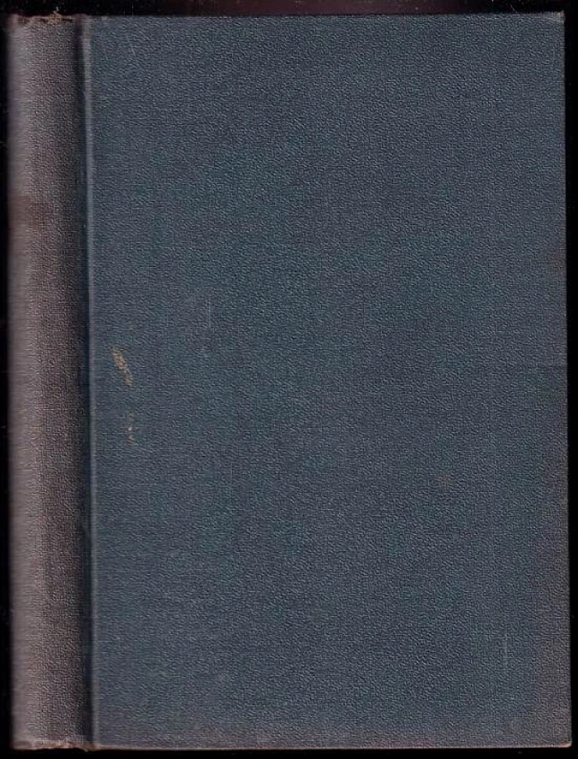 Páni od stavu (Vlasta Pittnerová, 1919)