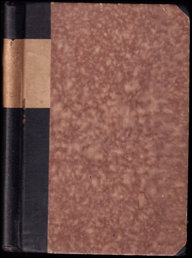 Levně Paní se slunečnicí (Ivo Vojnović, 1920)