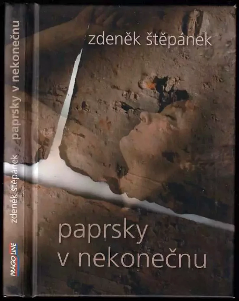 Paprsky v nekonečnu (Zdeněk Štěpánek, 2007)