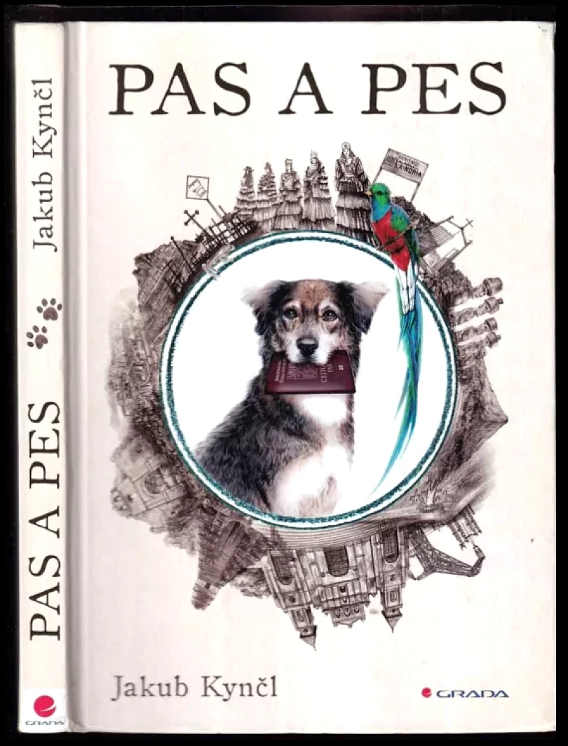 Pas a pes (Jakub Kynčl, 2022)