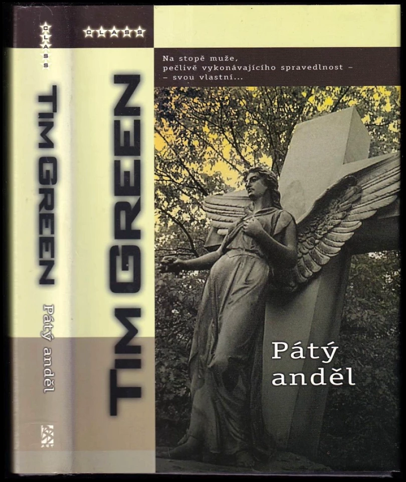 Pátý anděl (Tim Green, 2005)