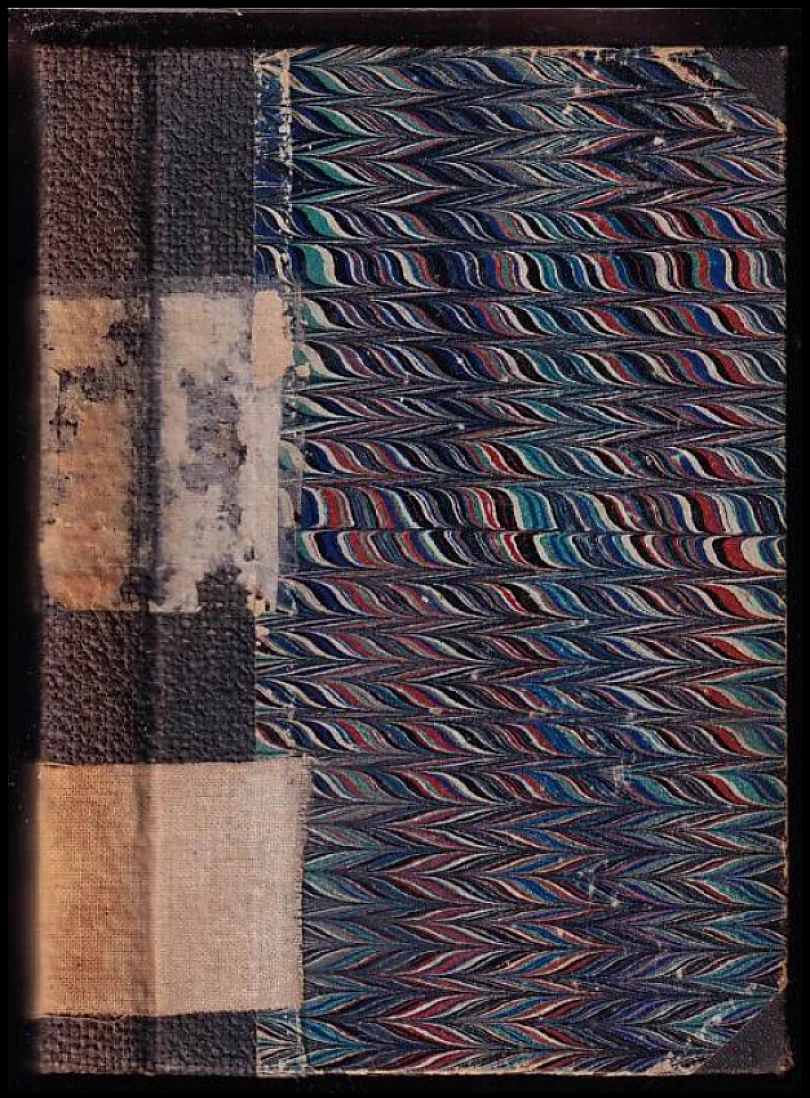 Pavel Josef Šafařík v životě i spisích (Josef Hanuš, 1895)