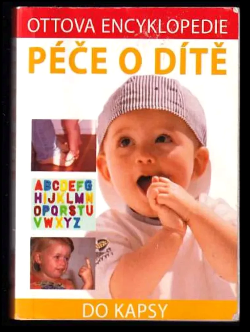 Péče o dítě (Belinda Grant Viagas, 2003)