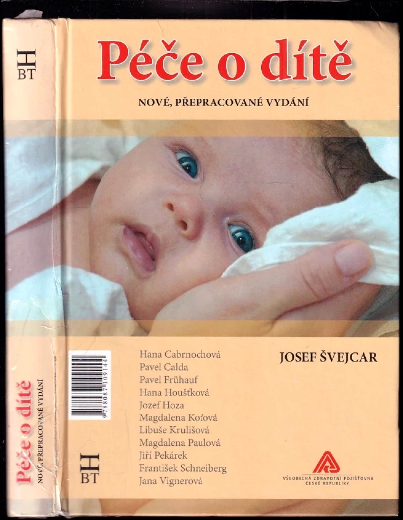 Péče o dítě (Josef Švejcar, 2009)