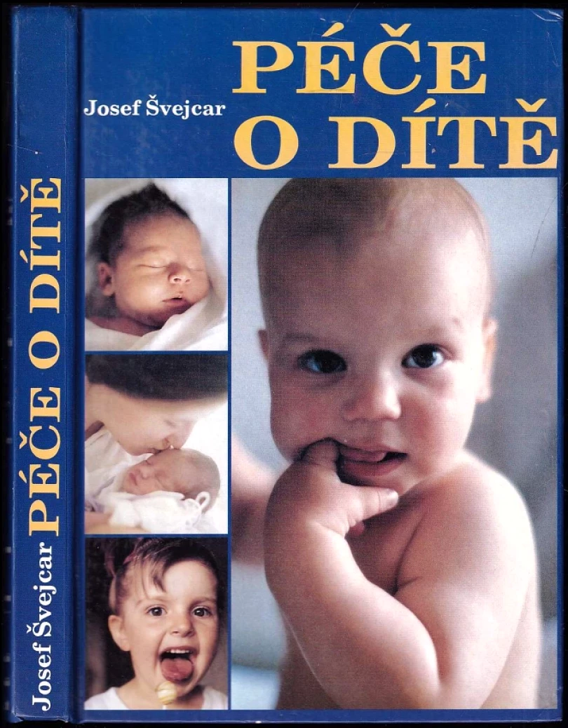 Péče o dítě (Josef Švejcar, 1994)
