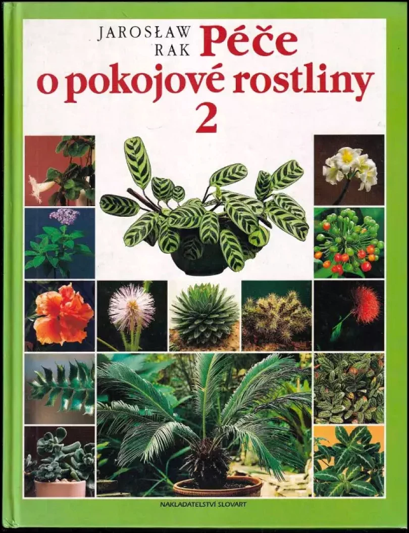 Levně Péče o pokojové rostliny (Jarosław Rak, 1997)