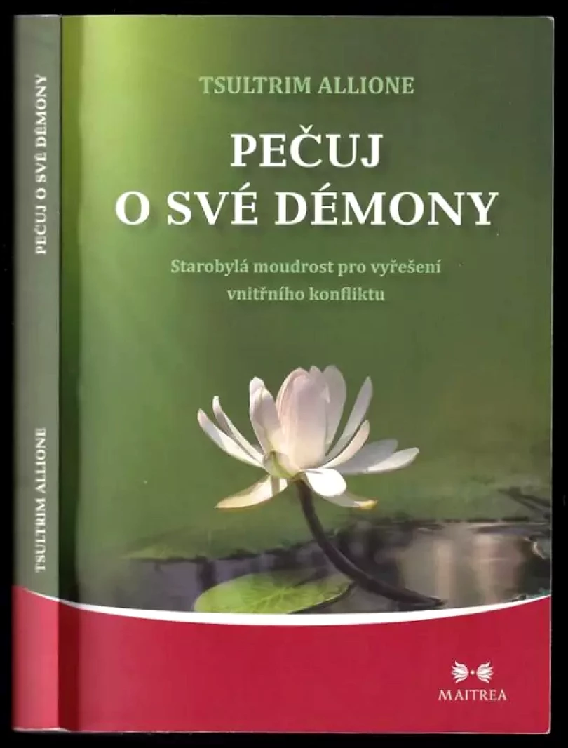 Levně Pečuj o své démony (Tsultrim Allione, 2012)