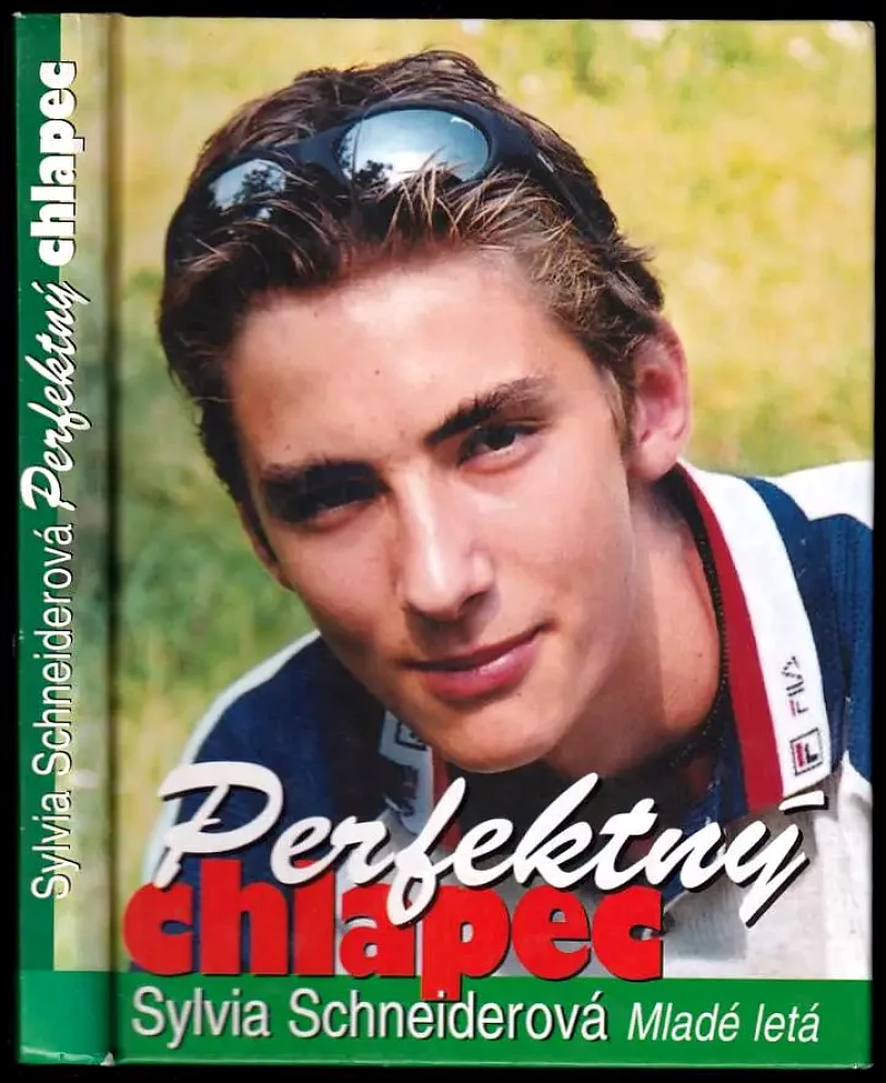 Levně Perfektný chlapec (Sylvia Schneider, 2001)