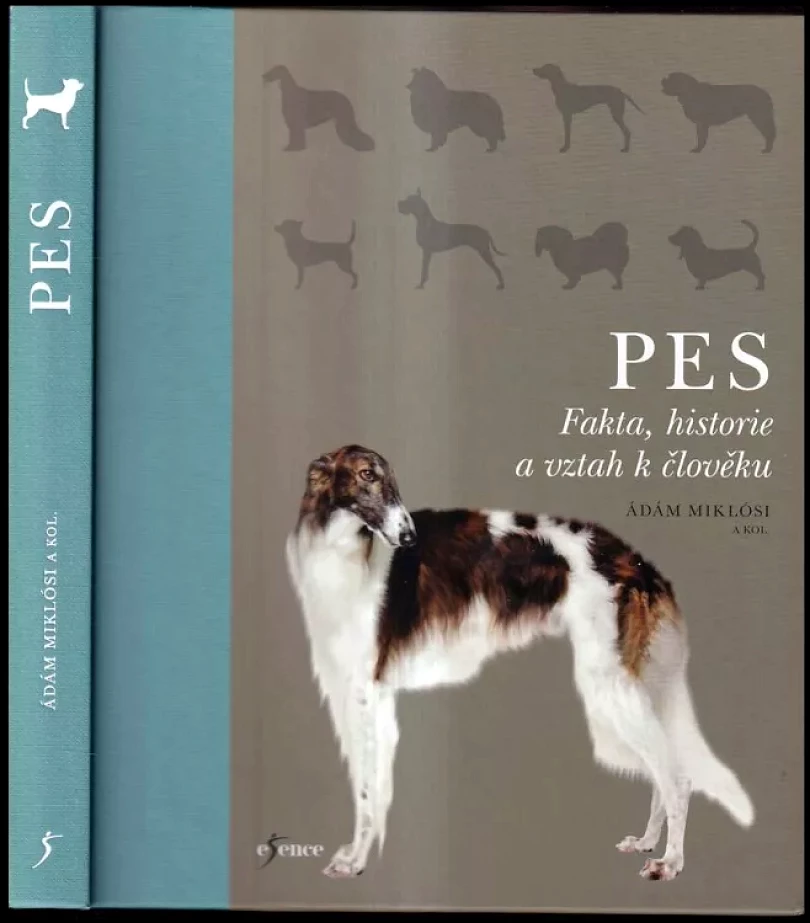 Pes (Tamás Faragó, 2019)