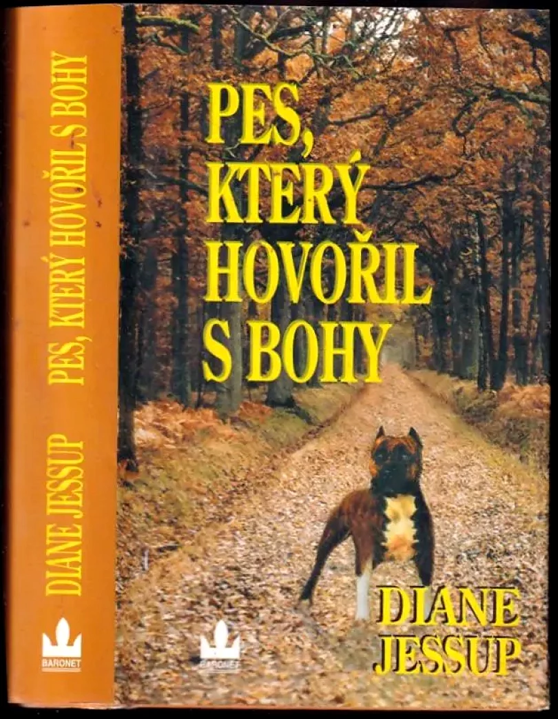 Pes, který hovořil s bohy (Diane Jessup, 2004)