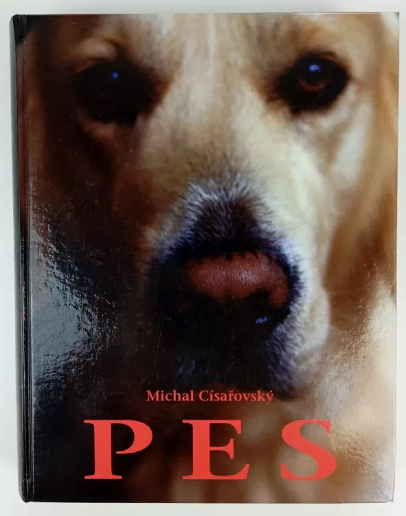 Pes (Michal Císařovský, 2008)