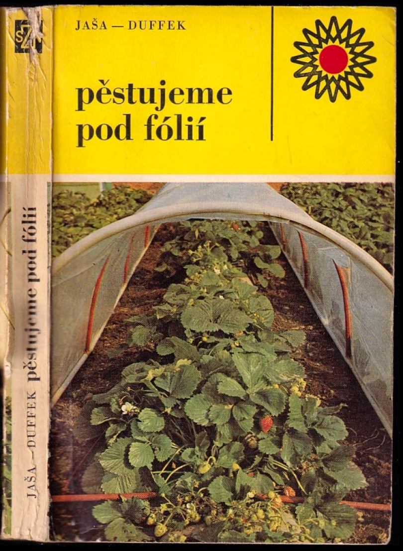 Levně Pěstujeme pod fólií (Bohumil Jaša, 1979)