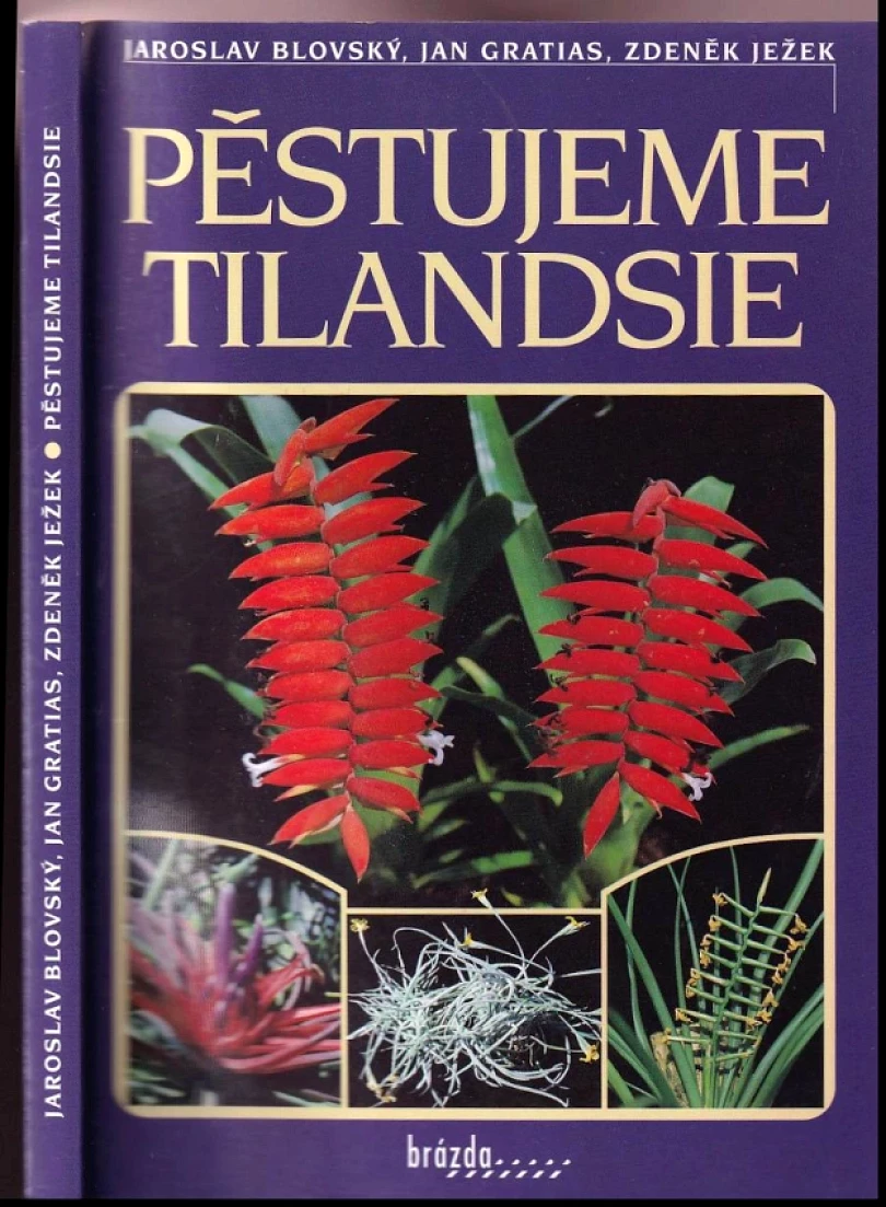 Pěstujeme tilandsie (Zdeněk Ježek, 2001)