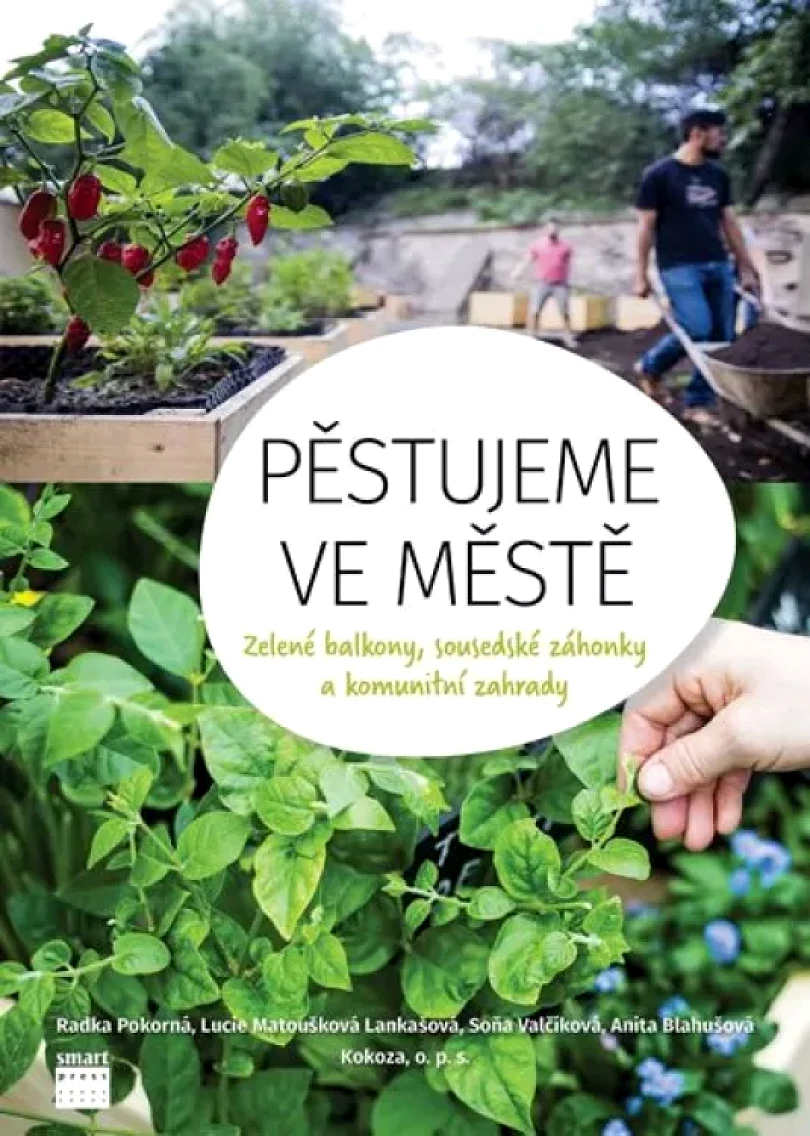 Levně Pěstujeme ve městě (Matoušková, 2019)
