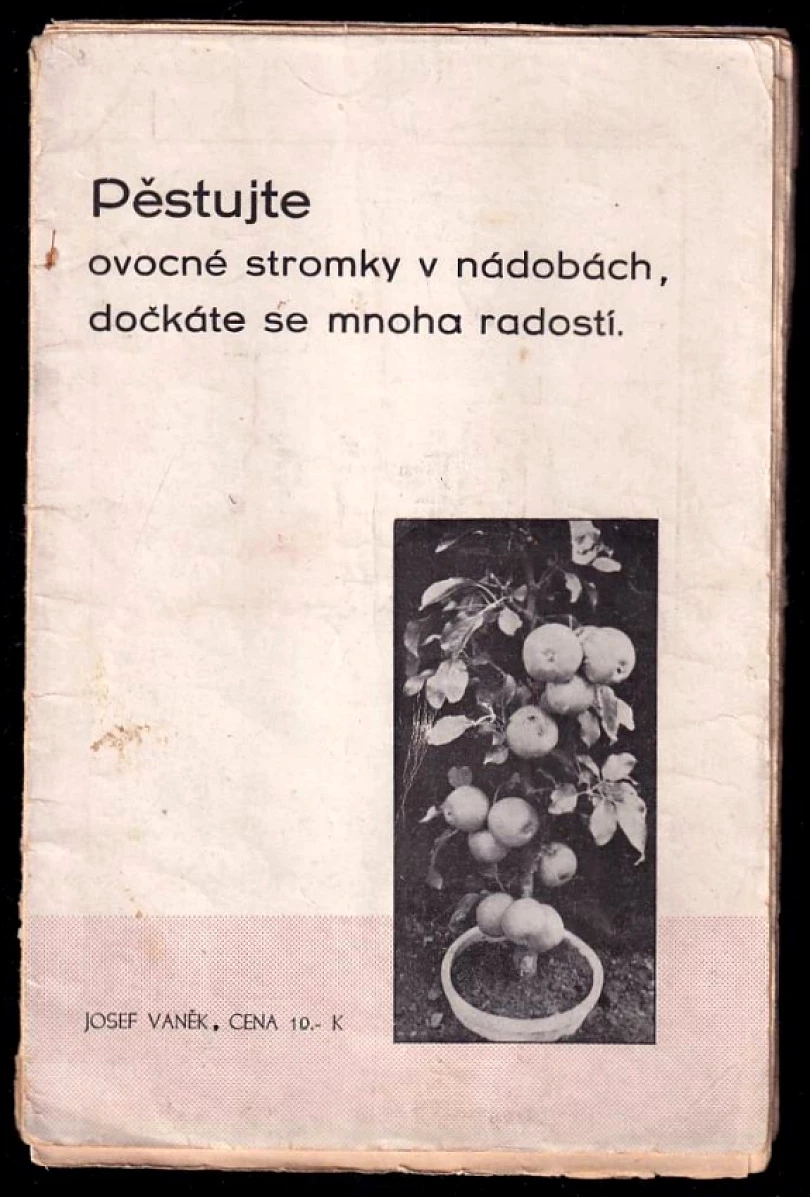 Pěstujte ovocné stromky v nádobách, dočkáte se mnoha radostí! (Josef Vaněk, 1940)