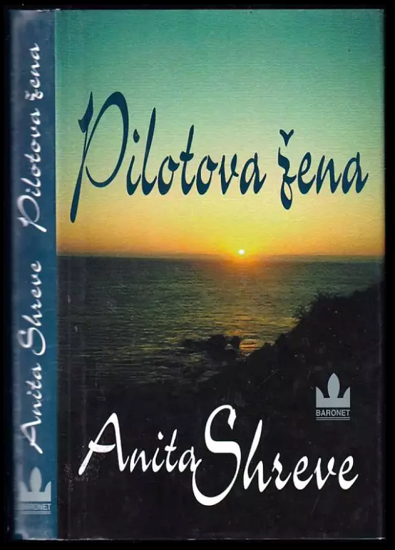 Levně Pilotova žena (Anita Shreve, 2001)