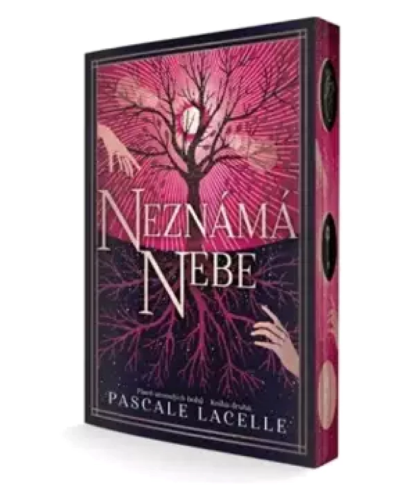Levně Píseň utonulých bohů (Pascale Lacelle, 2025)