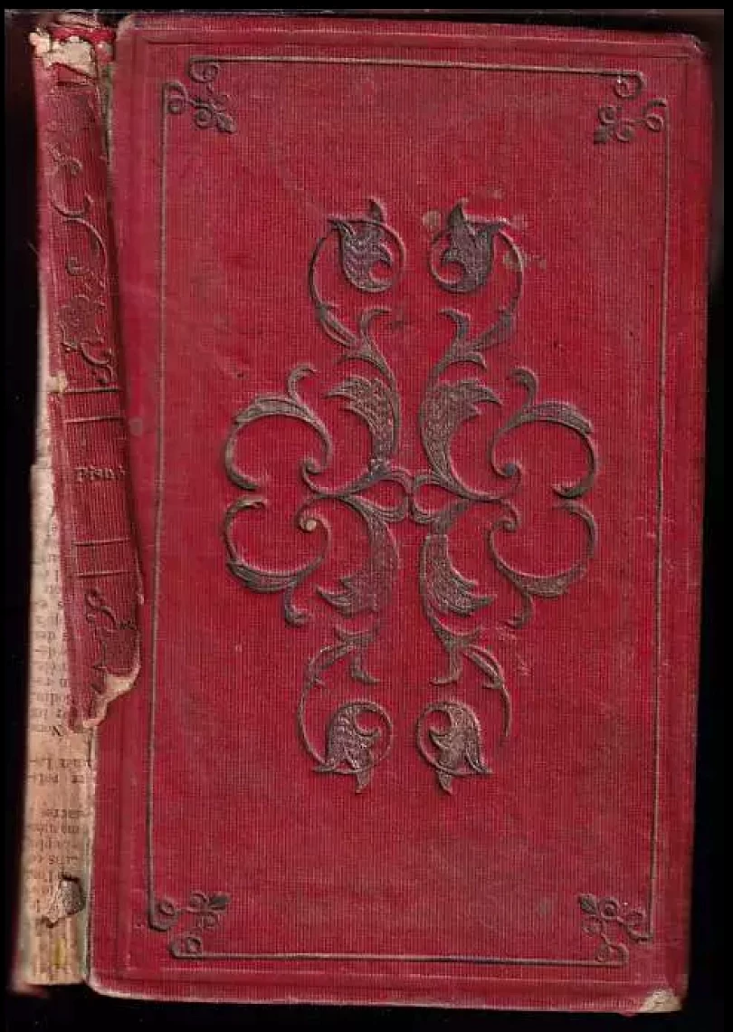 Levně Písně (co básní sv. IV.). (Václav Jaromír Picek, 1859)