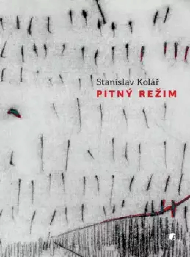 Levně Pitný režim (Stanislav Kolář, 2020)