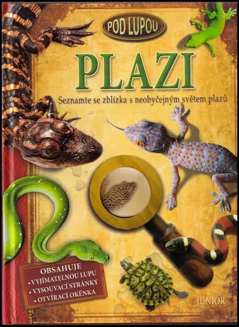 Plazi (Barbara Taylor, 2011)