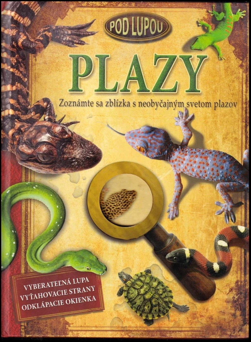 Plazy (Barbara Taylor, 2011)