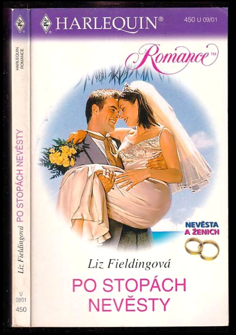 Levně Po stopách nevěsty (Liz Fielding, 2001)