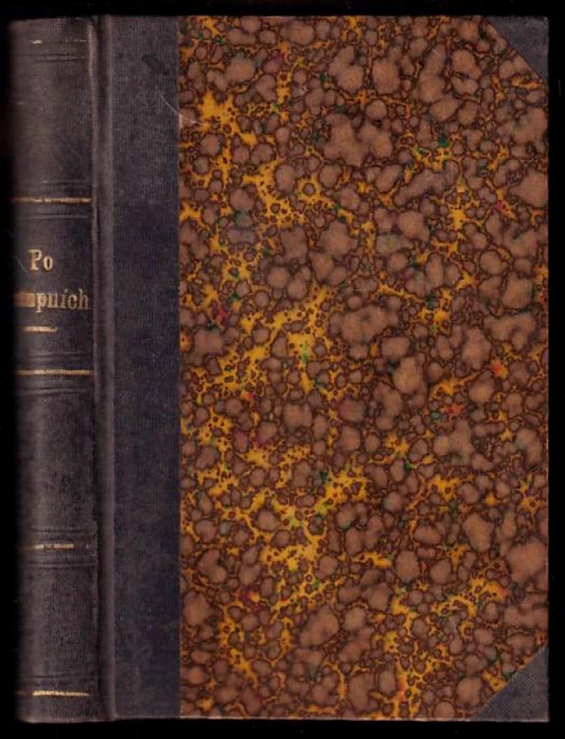 Levně Po stupních (Henry Gréville, 1892)