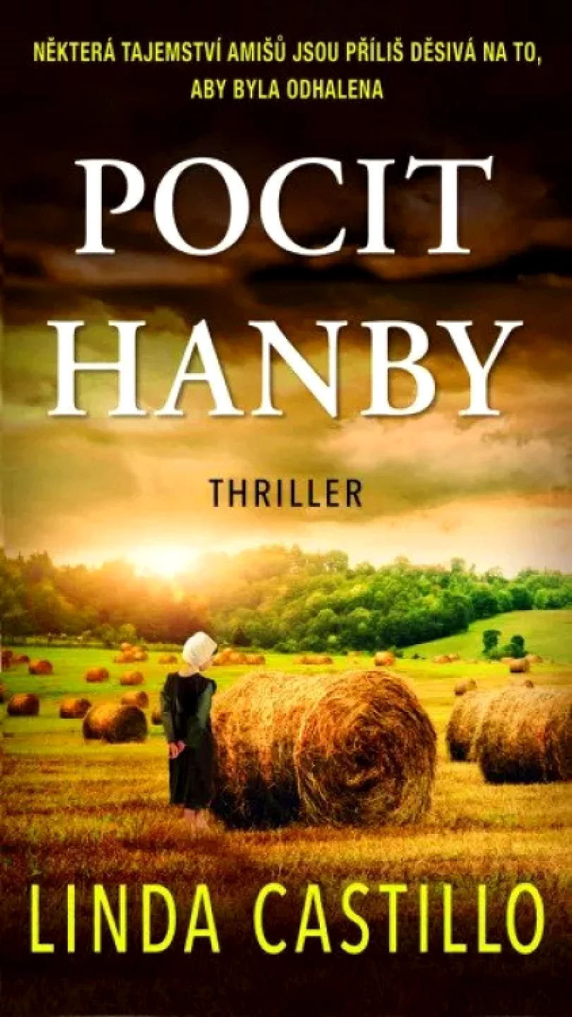 Levně Pocit hanby (Linda Castillo, 2022)