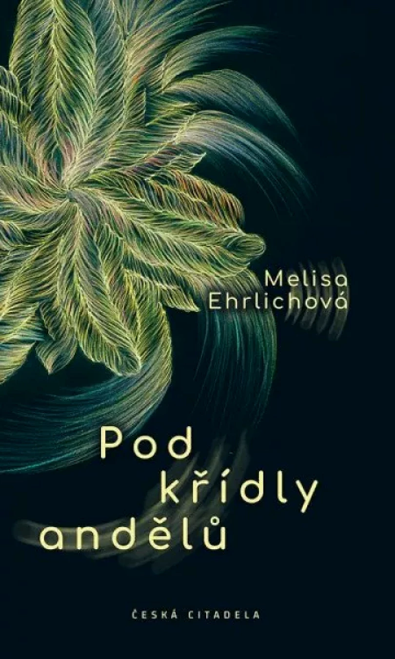 Pod křídly andělů (Melisa Ehrlich, 2022)