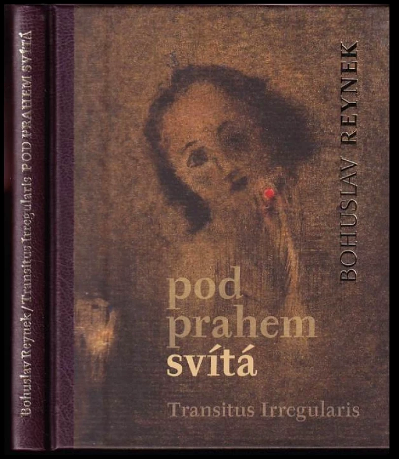 Pod prahem svítá (Bohuslav Reynek, 2012)