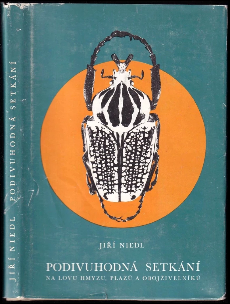 Podivuhodná setkání (Jiří Niedl, 1983)