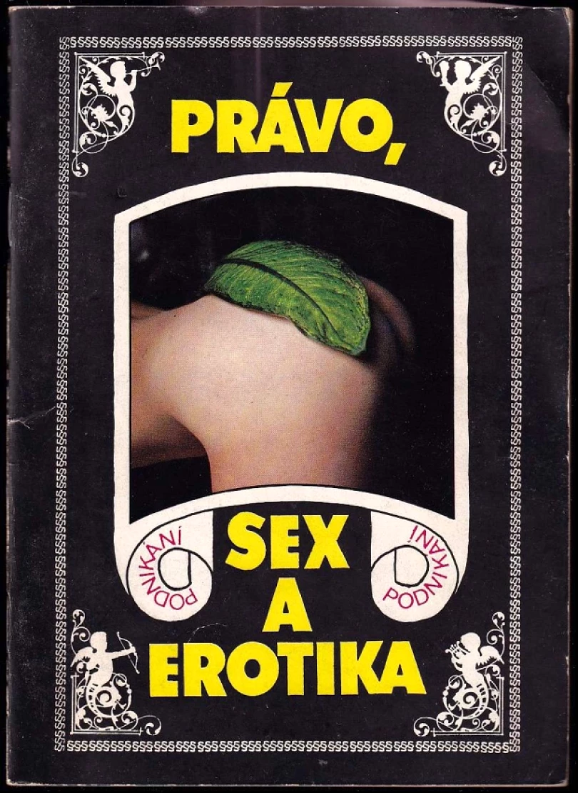 Podnikání, právo, sex a erotika (Jiří Teryngel, 1991)