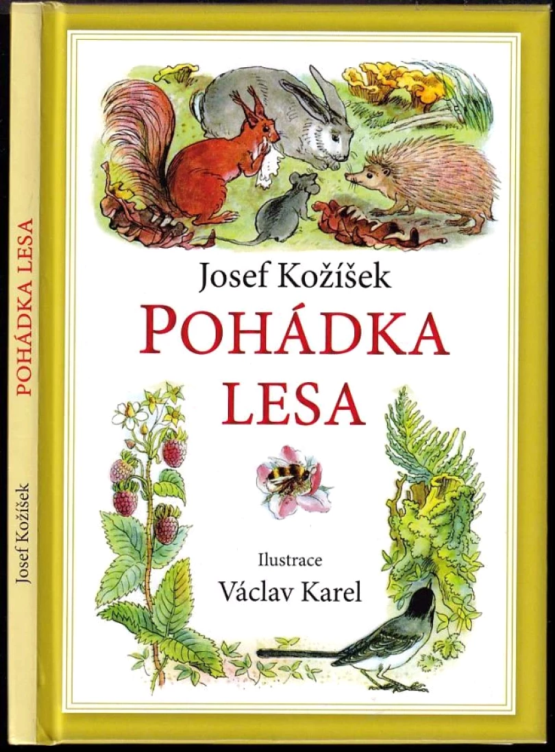 Levně Pohádka lesa (Josef Kožíšek, 2019)