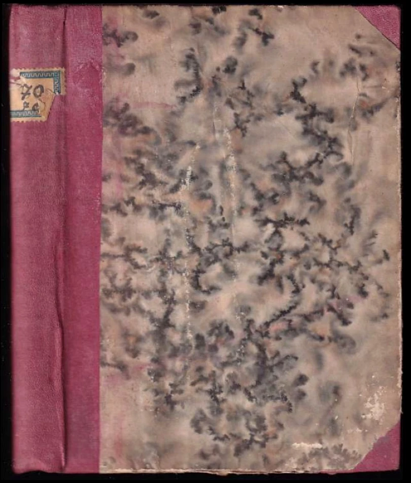 Pohlaví, láska, manželství (Lev Semenovič Fridland, 1929)