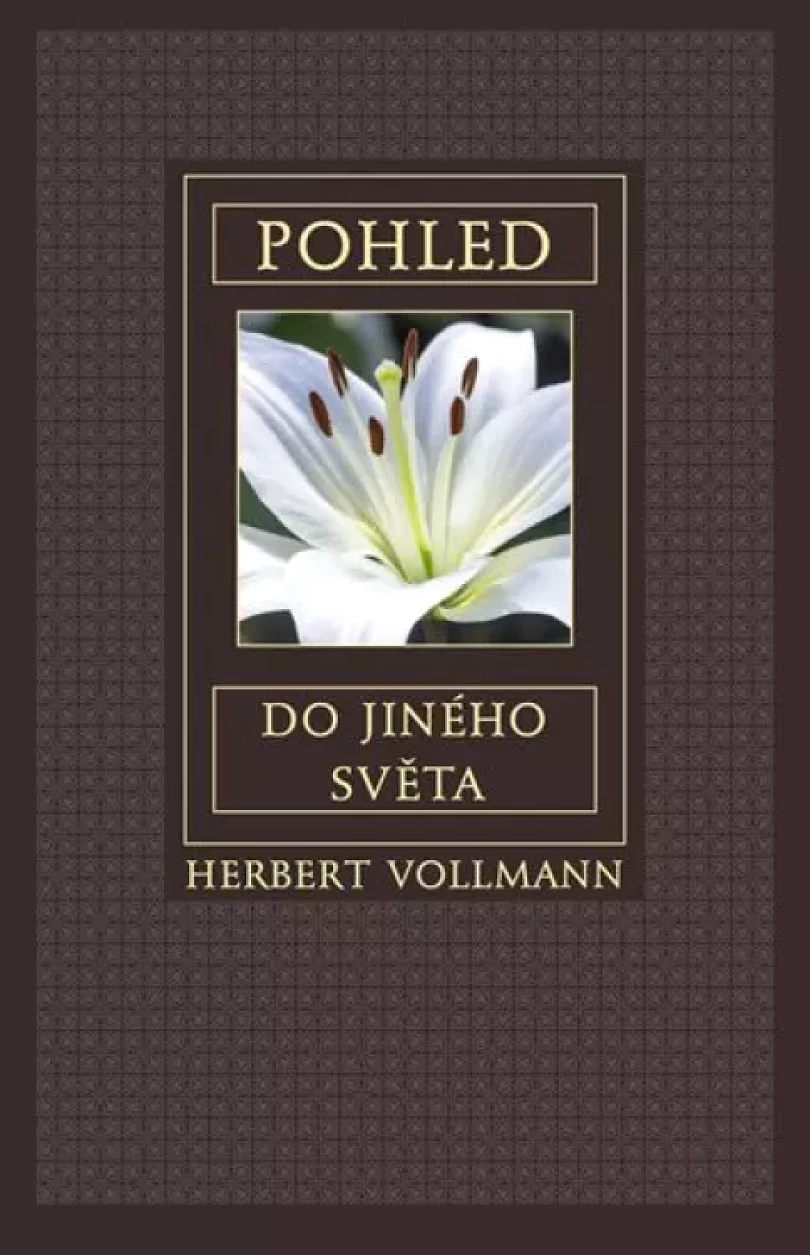 Levně Pohled do jiného světa (Herbert Vollmann, 2016)