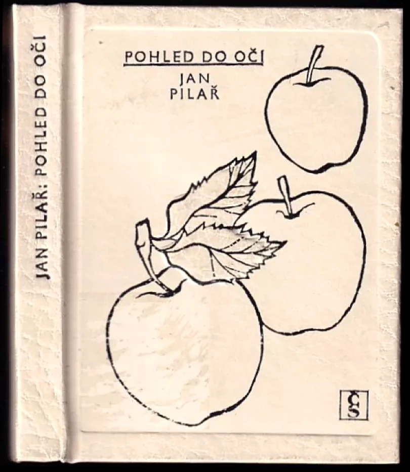 Pohled do očí (Jan Pilař, 1983)