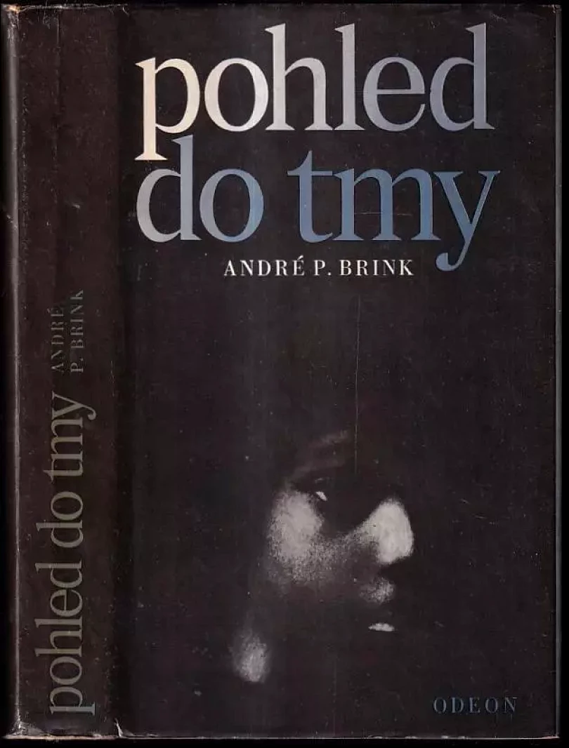 Levně Pohled do tmy (André Philippus Brink, 1981)