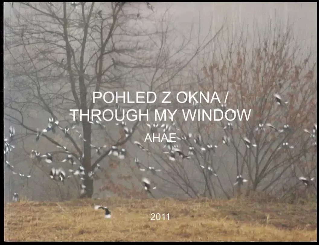 Pohled z okna- Through my window (Milan Knížák, 2011)