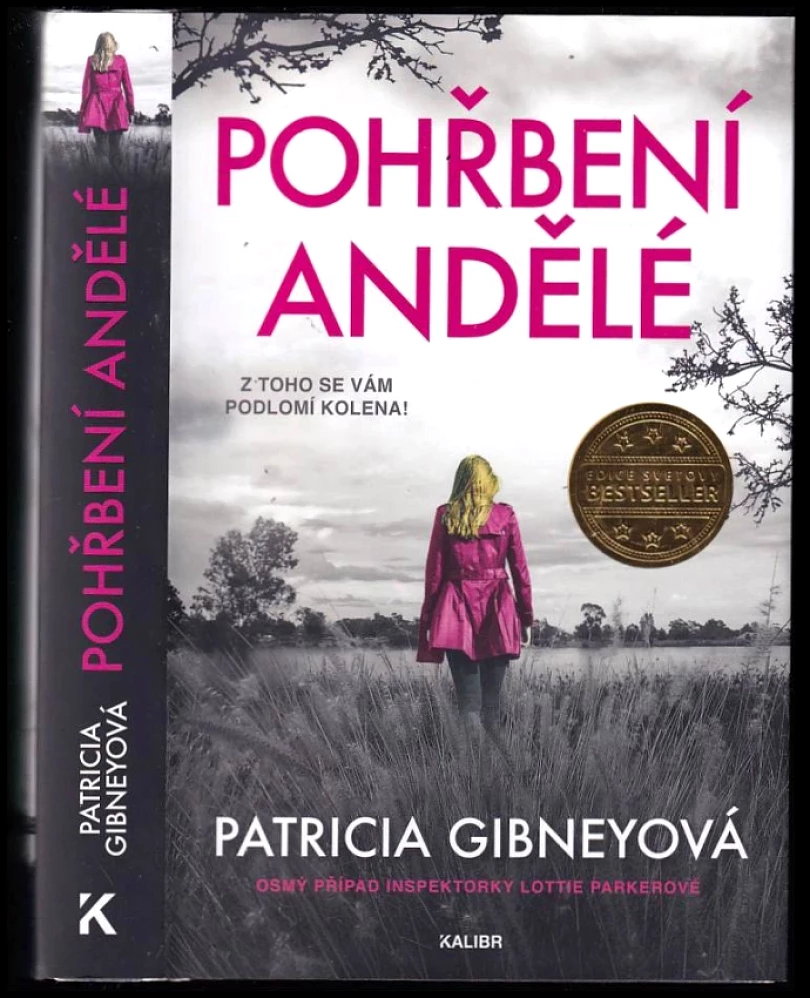 Pohřbení andělé (Patricia Gibney, 2023)